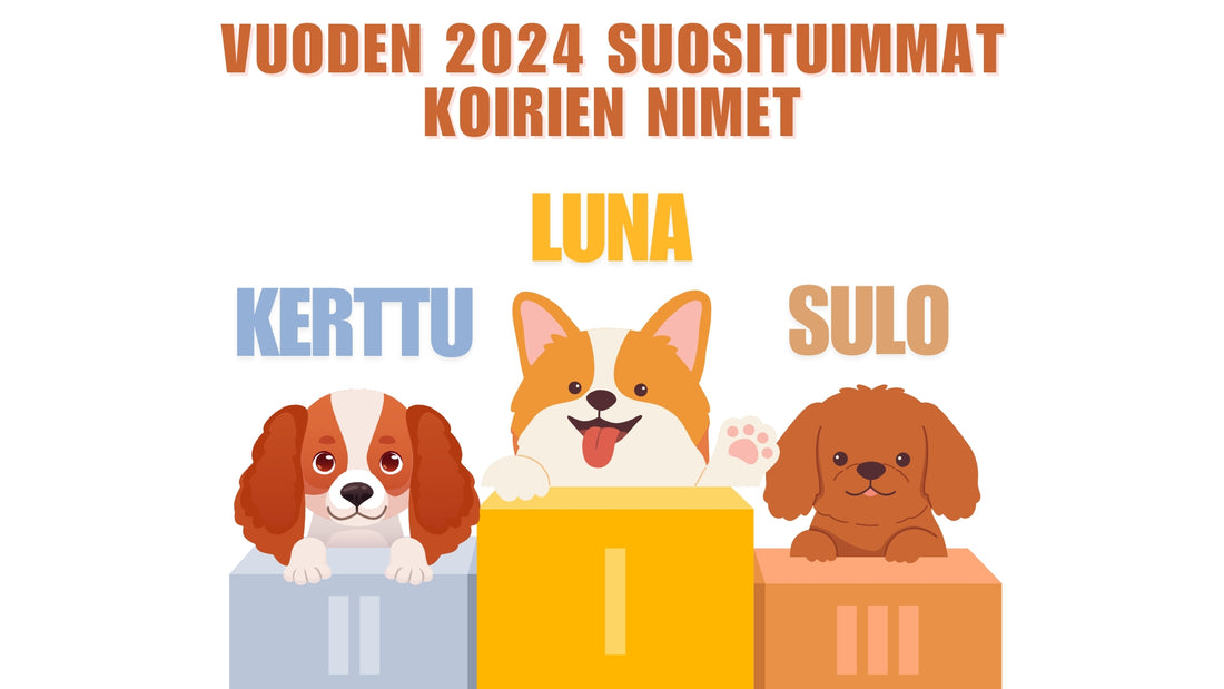 Vuoden 2024 suosituimmat koirien nimet