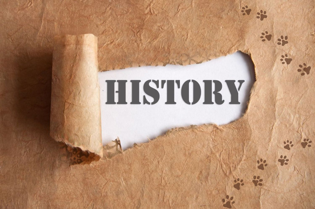 Koirarotujen historiaa