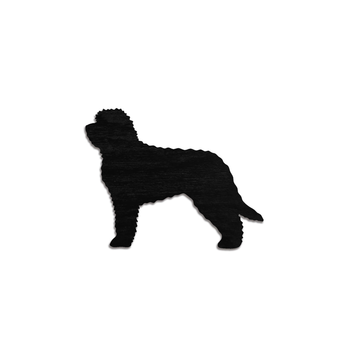 Barbet