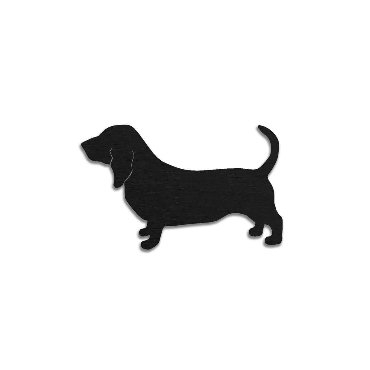 Basset hound