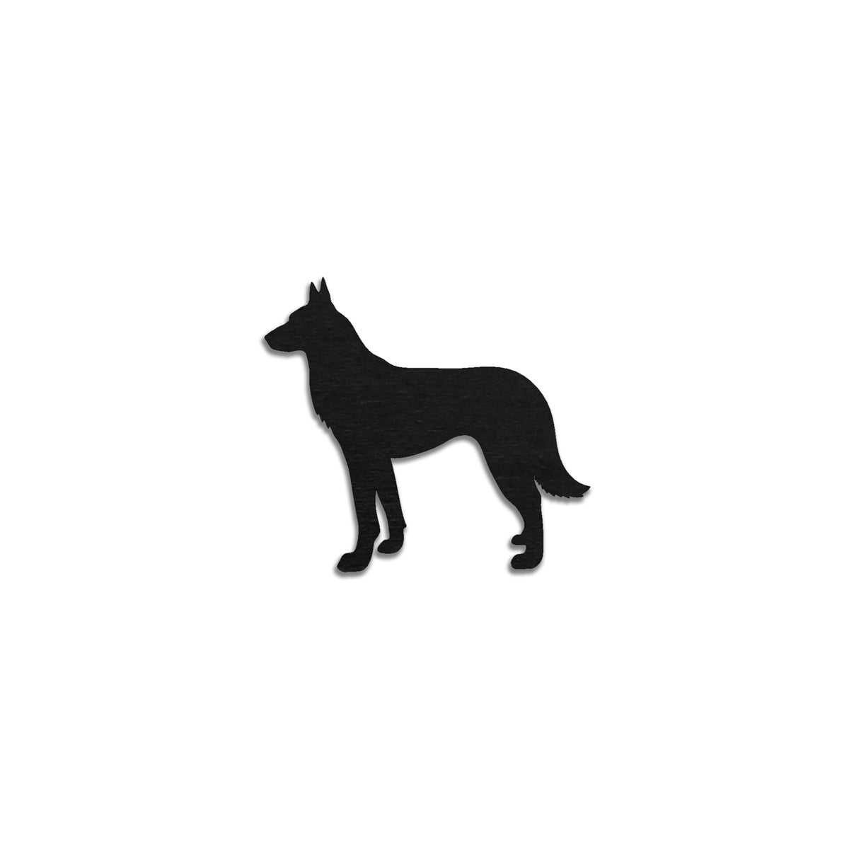 Belgianpaimenkoira Malinois