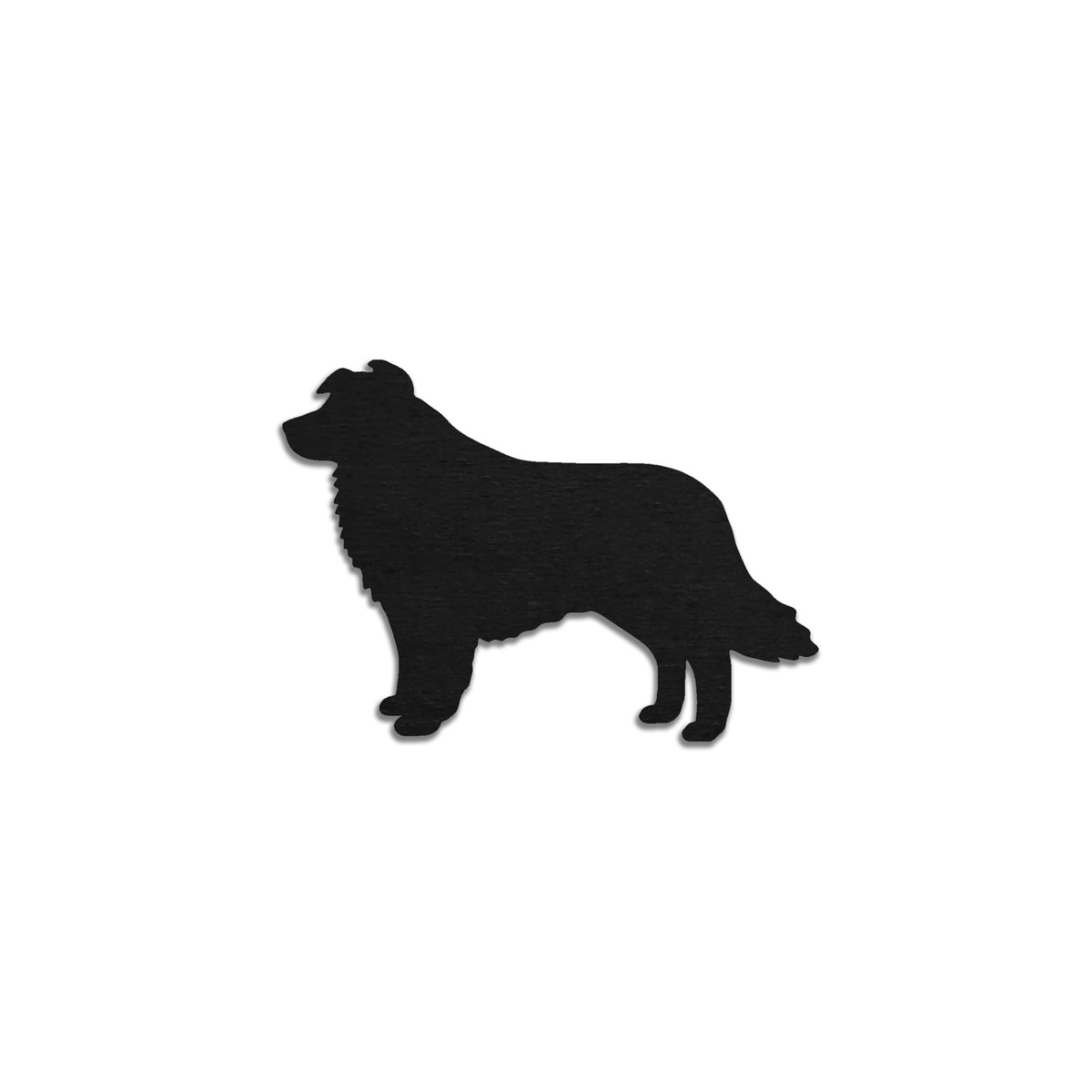 Bordercollie