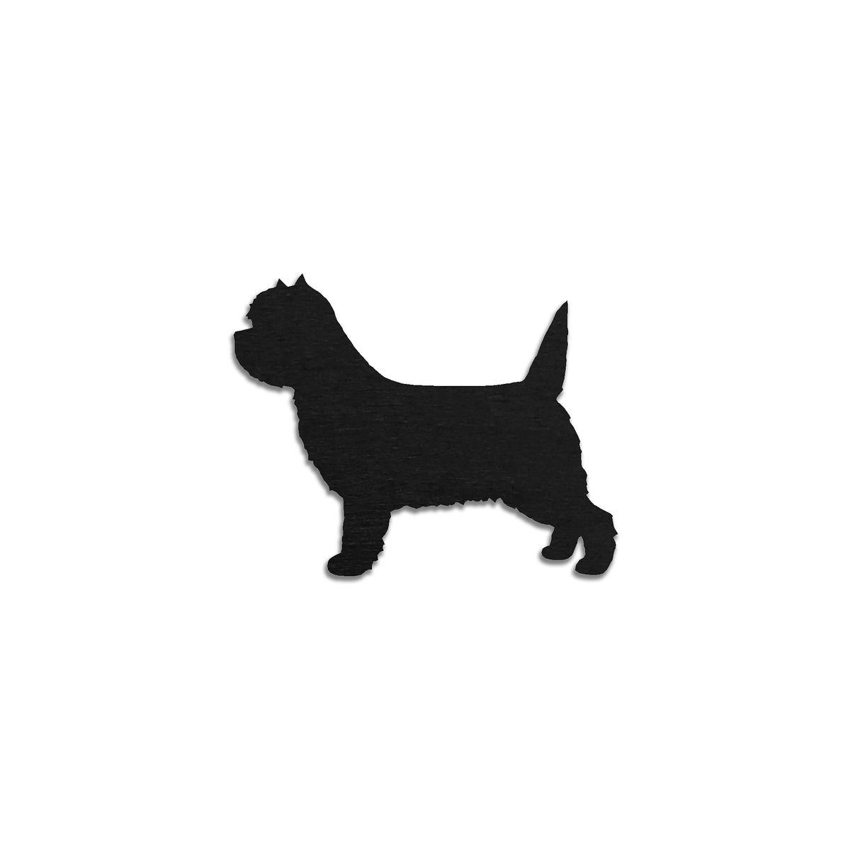 Cairnterrieri