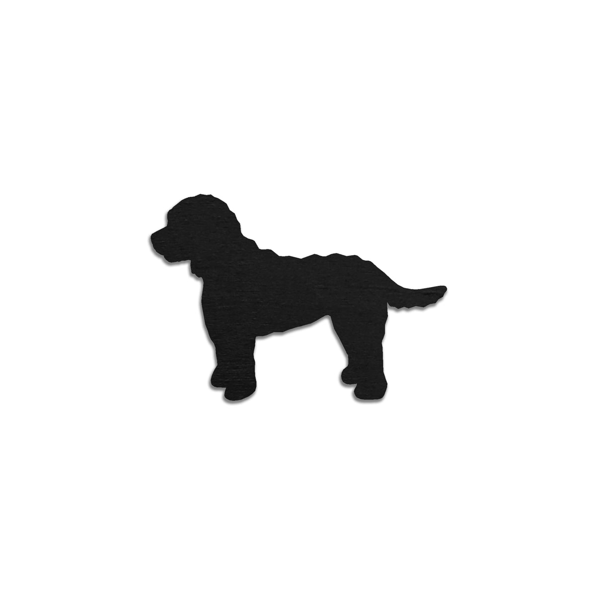 Cockapoo