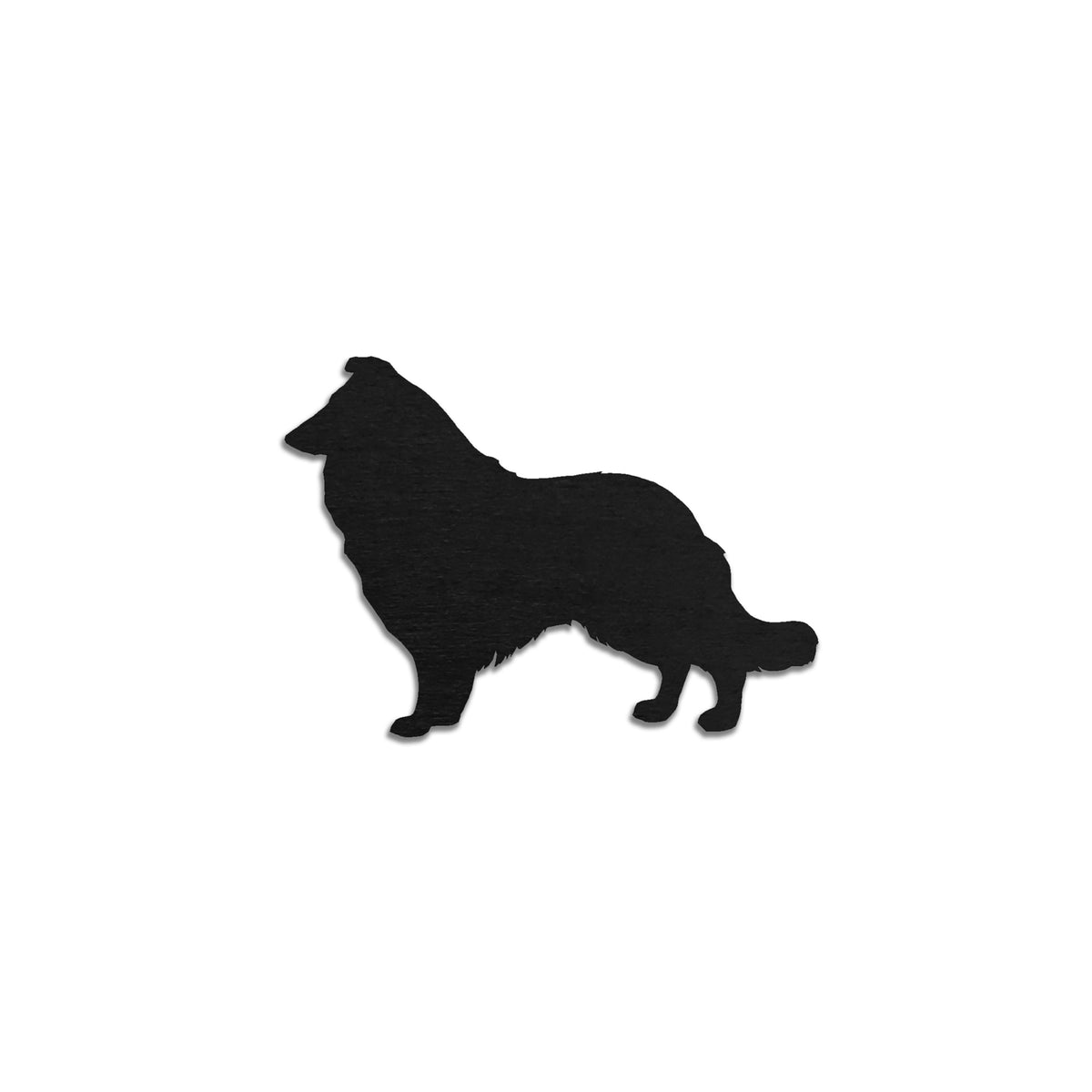 Collie