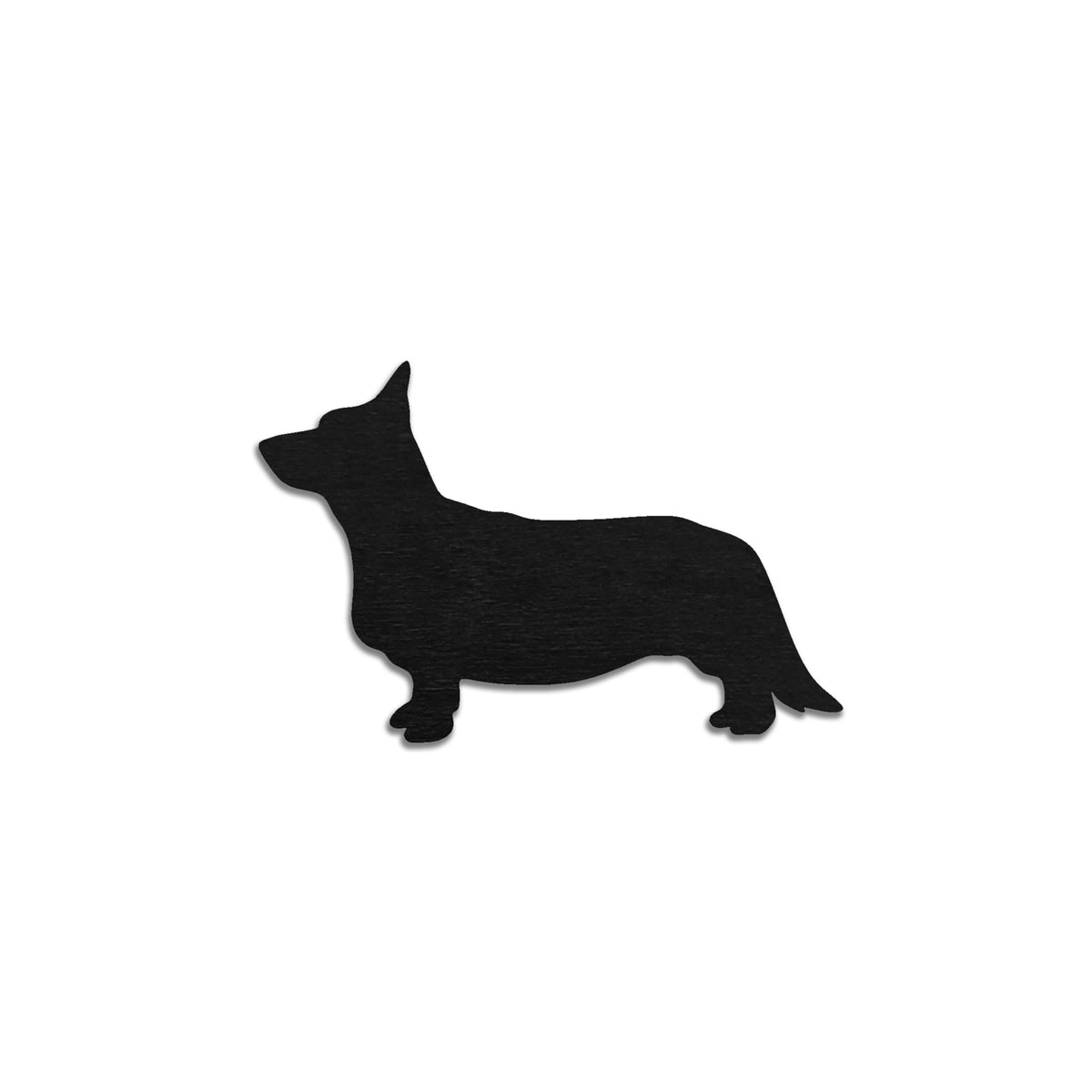Corgi pembroke