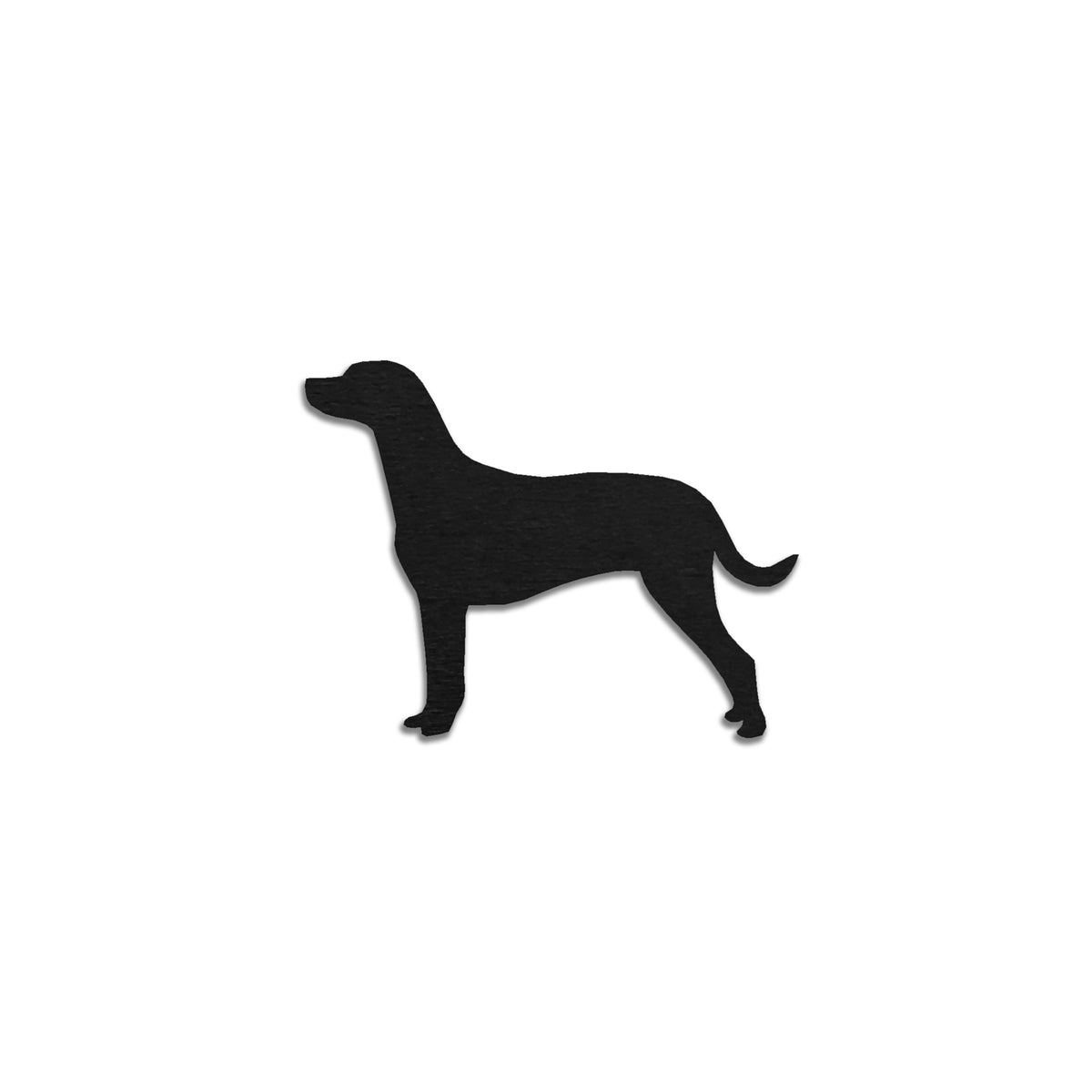 Dalmatiankoira