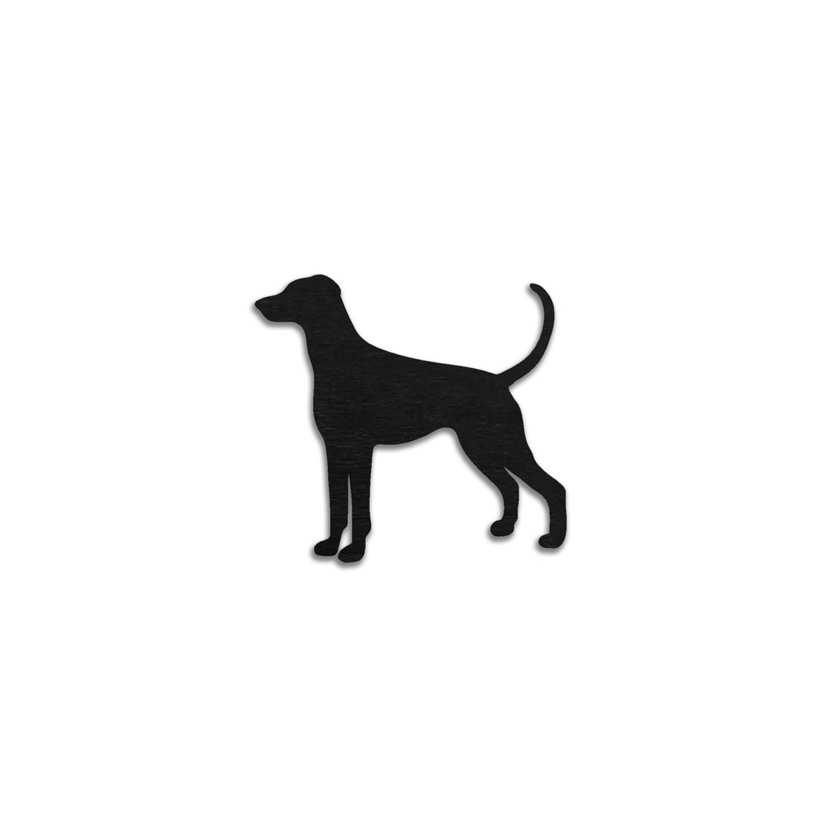 Dobermanni