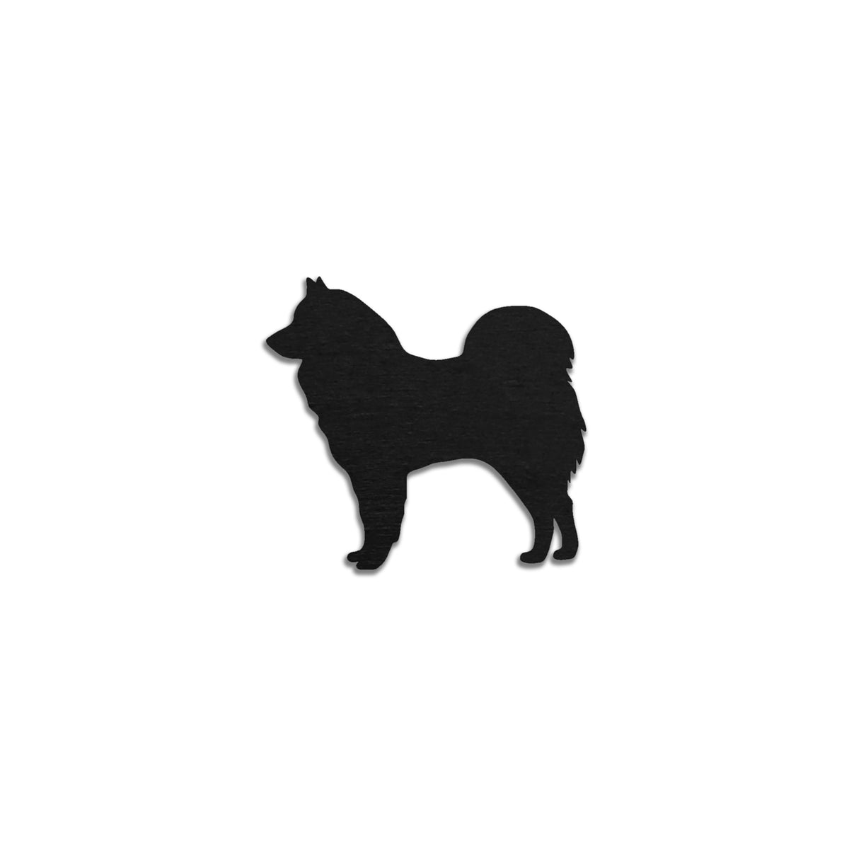 Eurasier