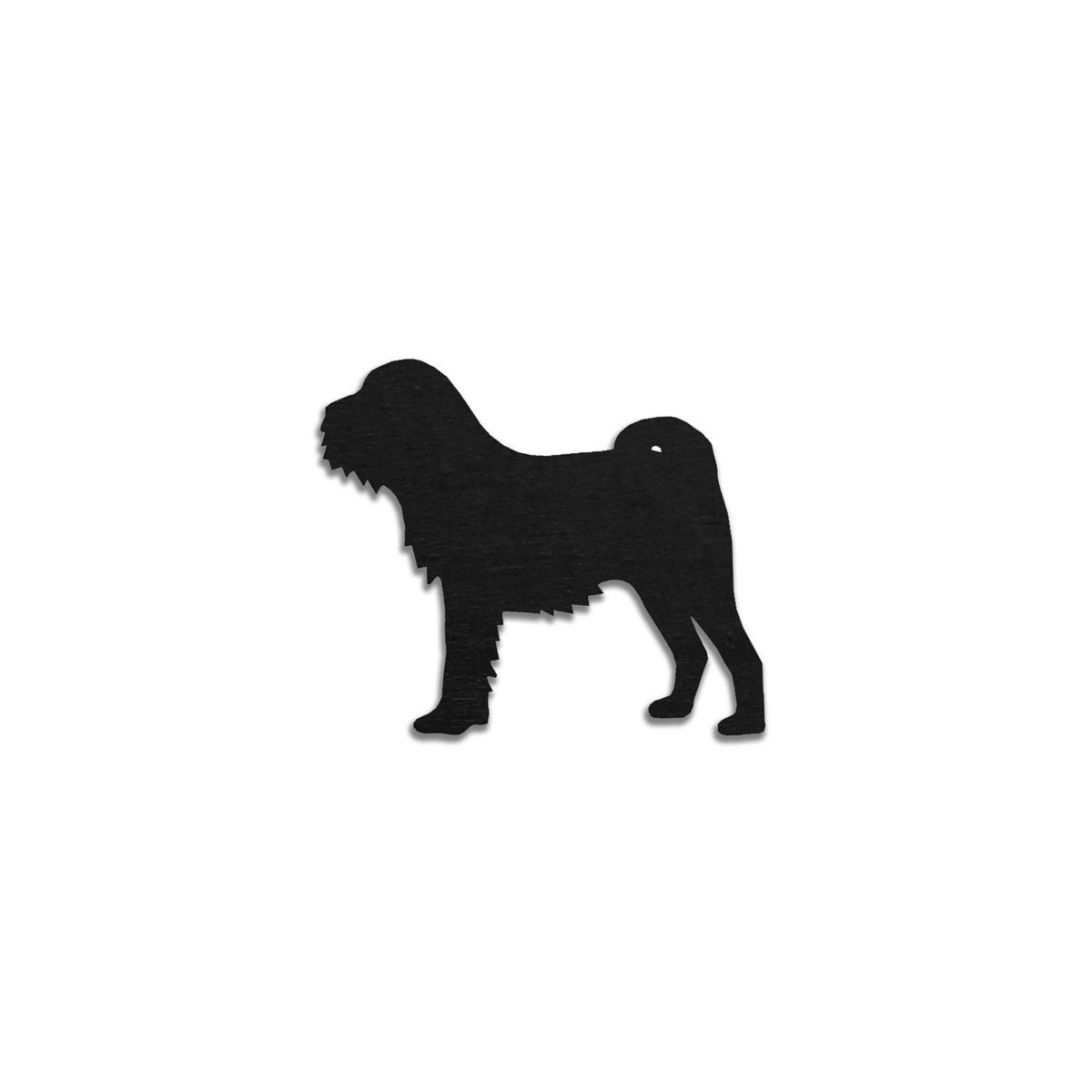 Griffon Belge
