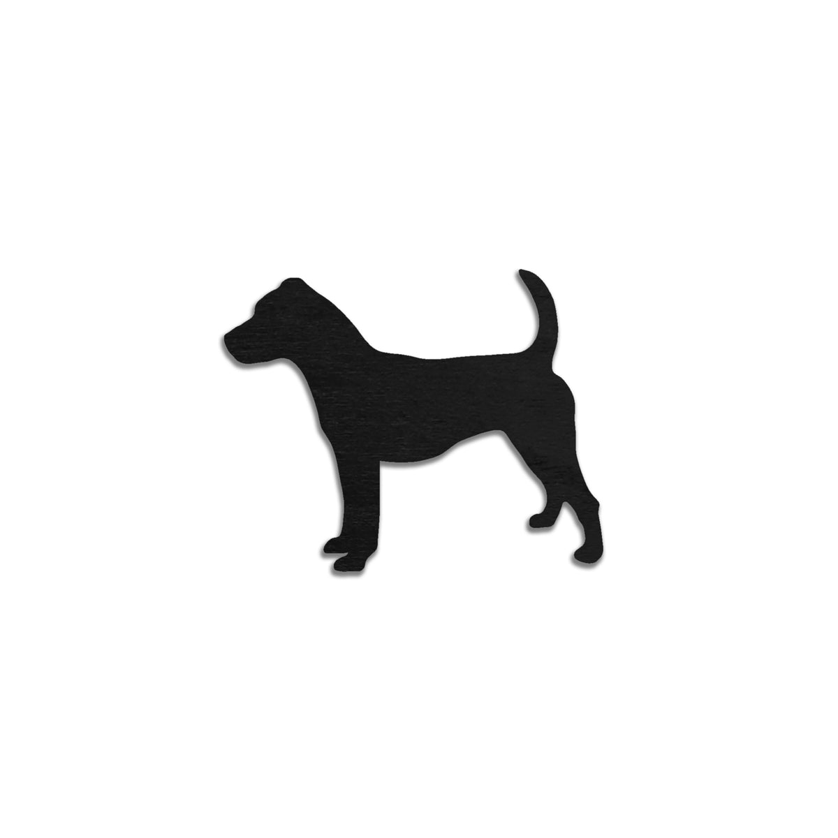 Jackrussellinterrieri