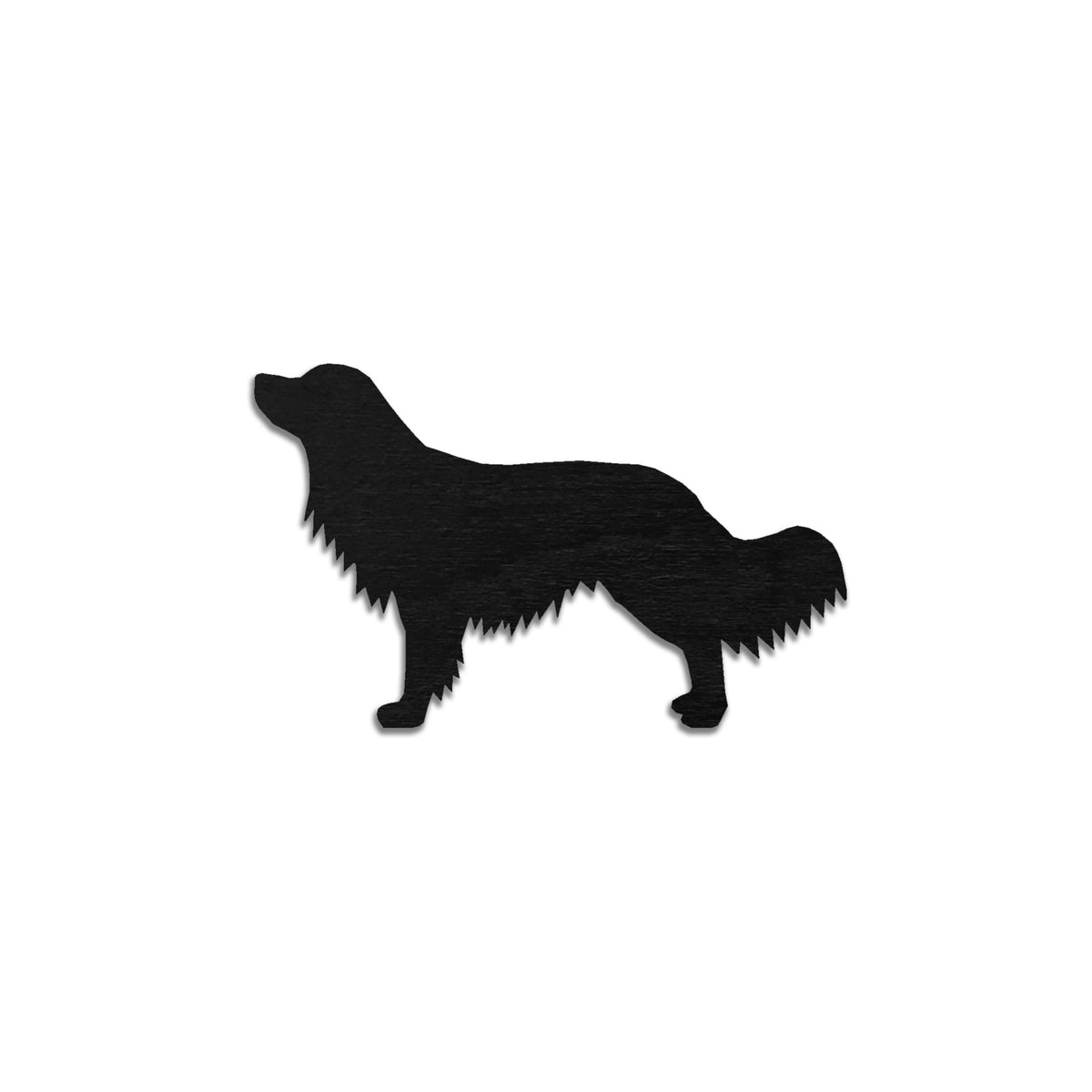 Kooikerhondje