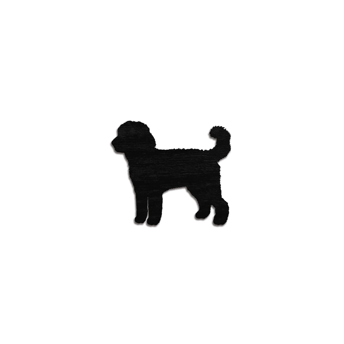 Labradoodle