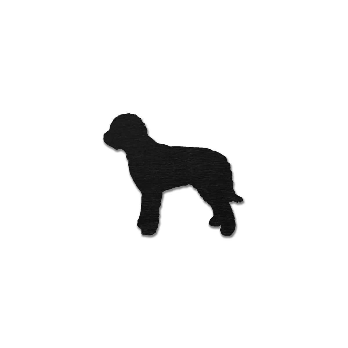 Lagotto Romagnolo