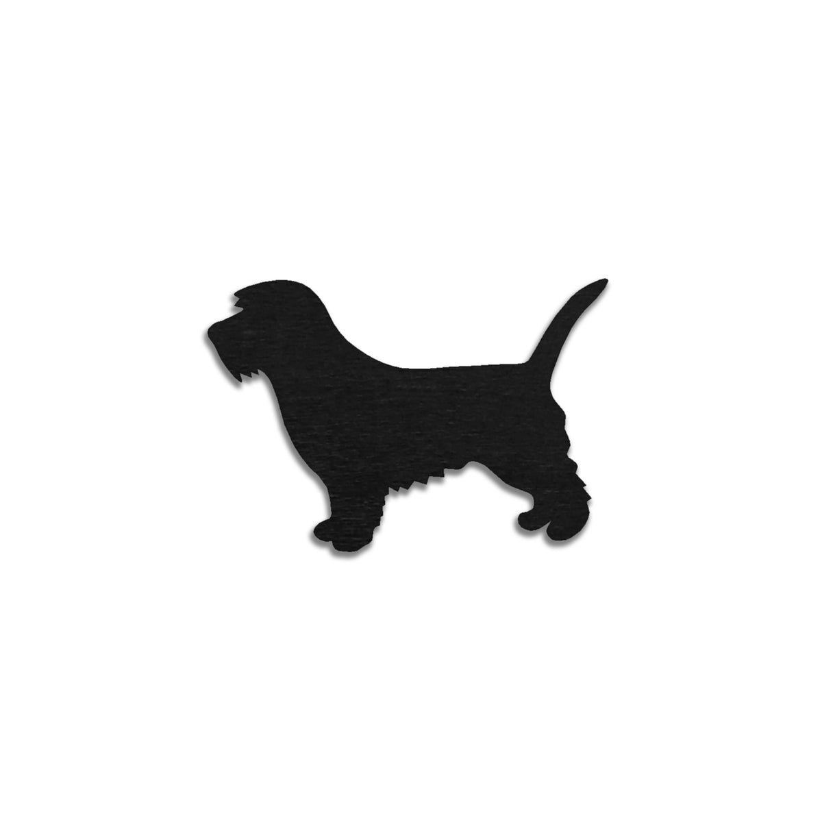 Petit basset griffon vendeen