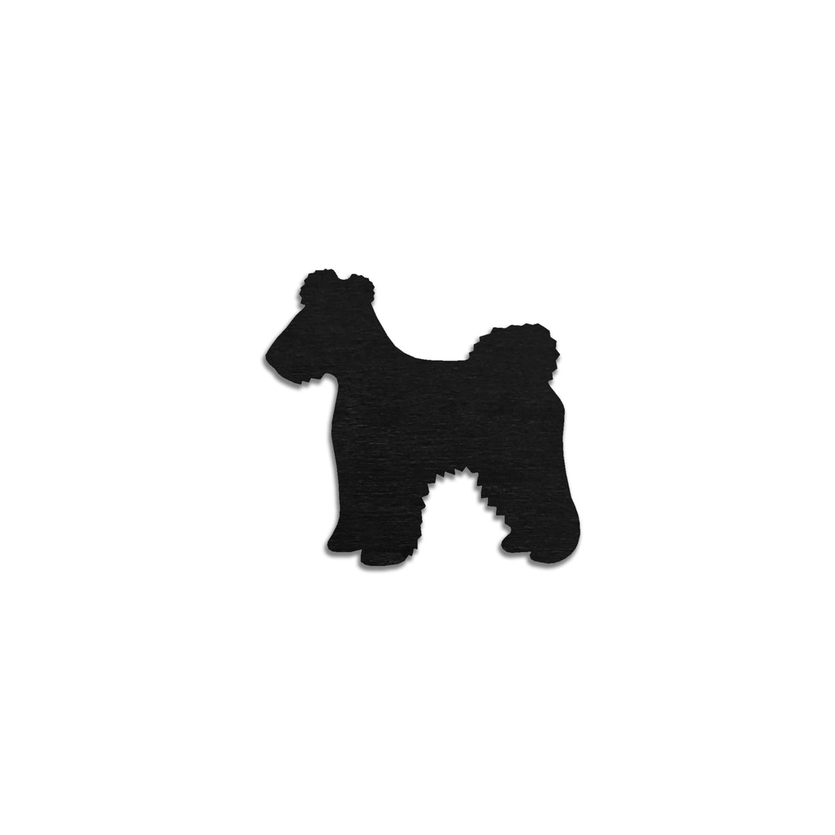 Pumi
