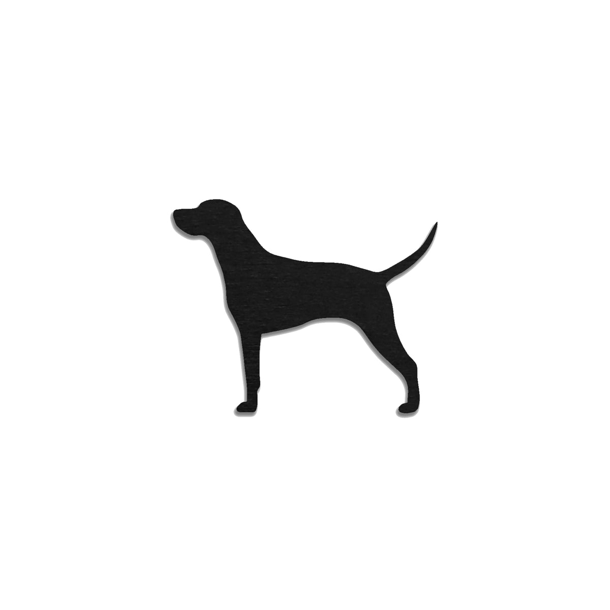 Unkarinvizsla