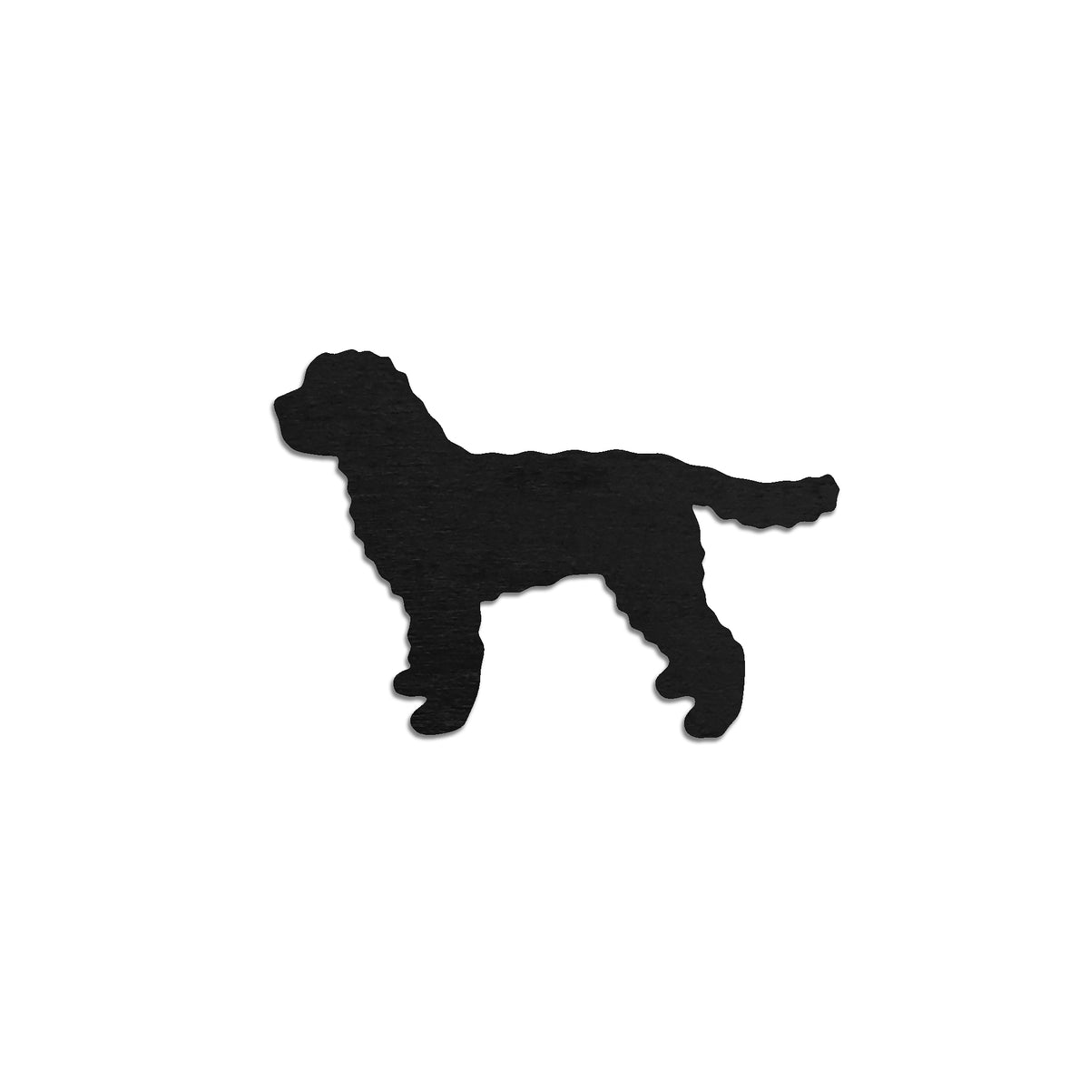 Australian Labradoodle