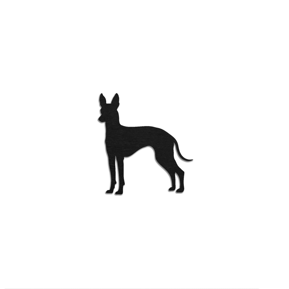 Etnankoira (Cirneco)