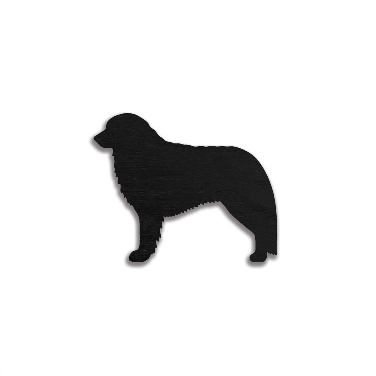 Kuvasz