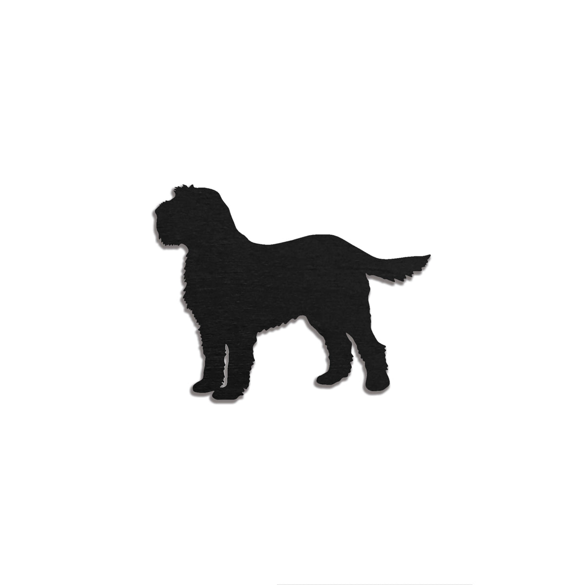 Spinone Italiano