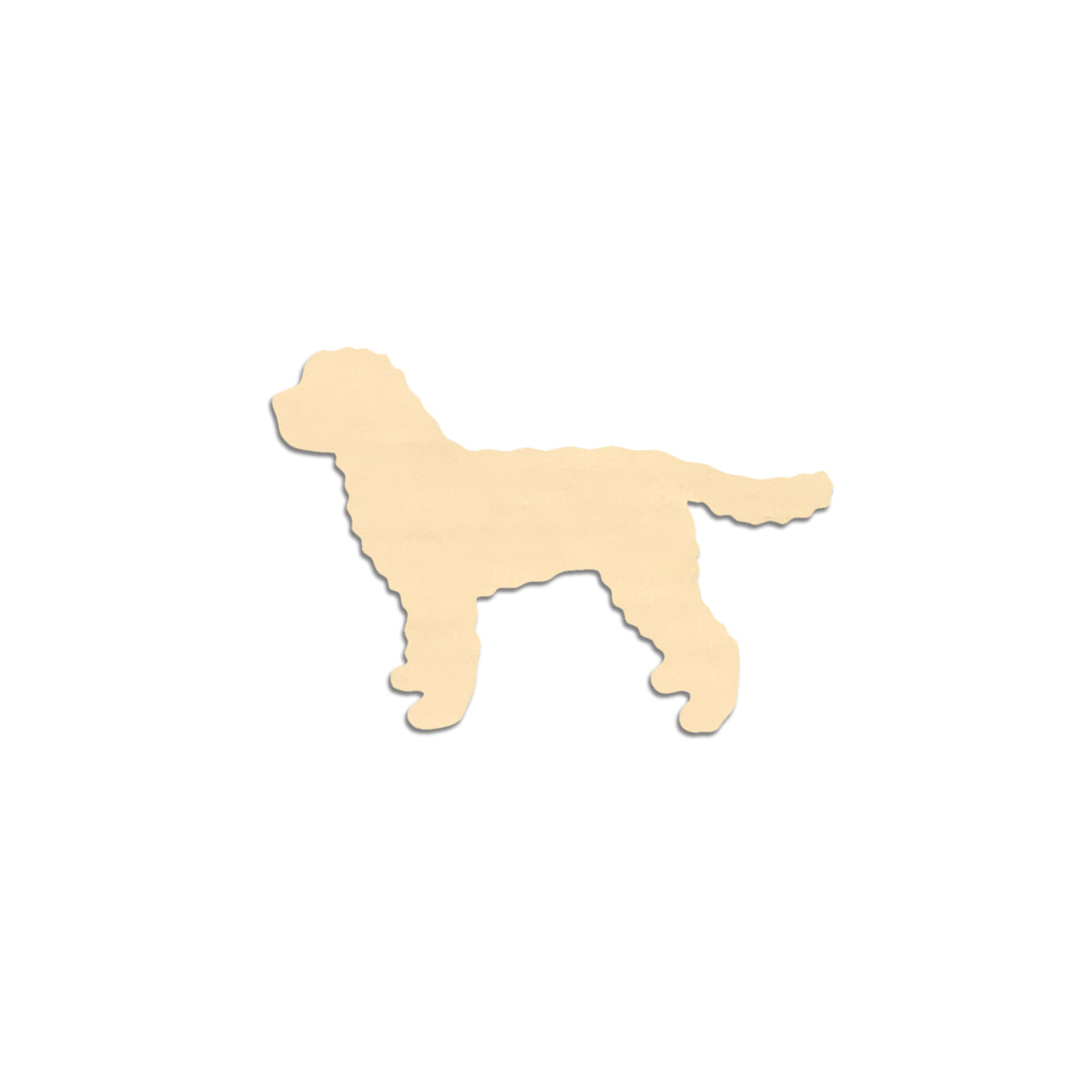 Australian Labradoodle -rintaneula