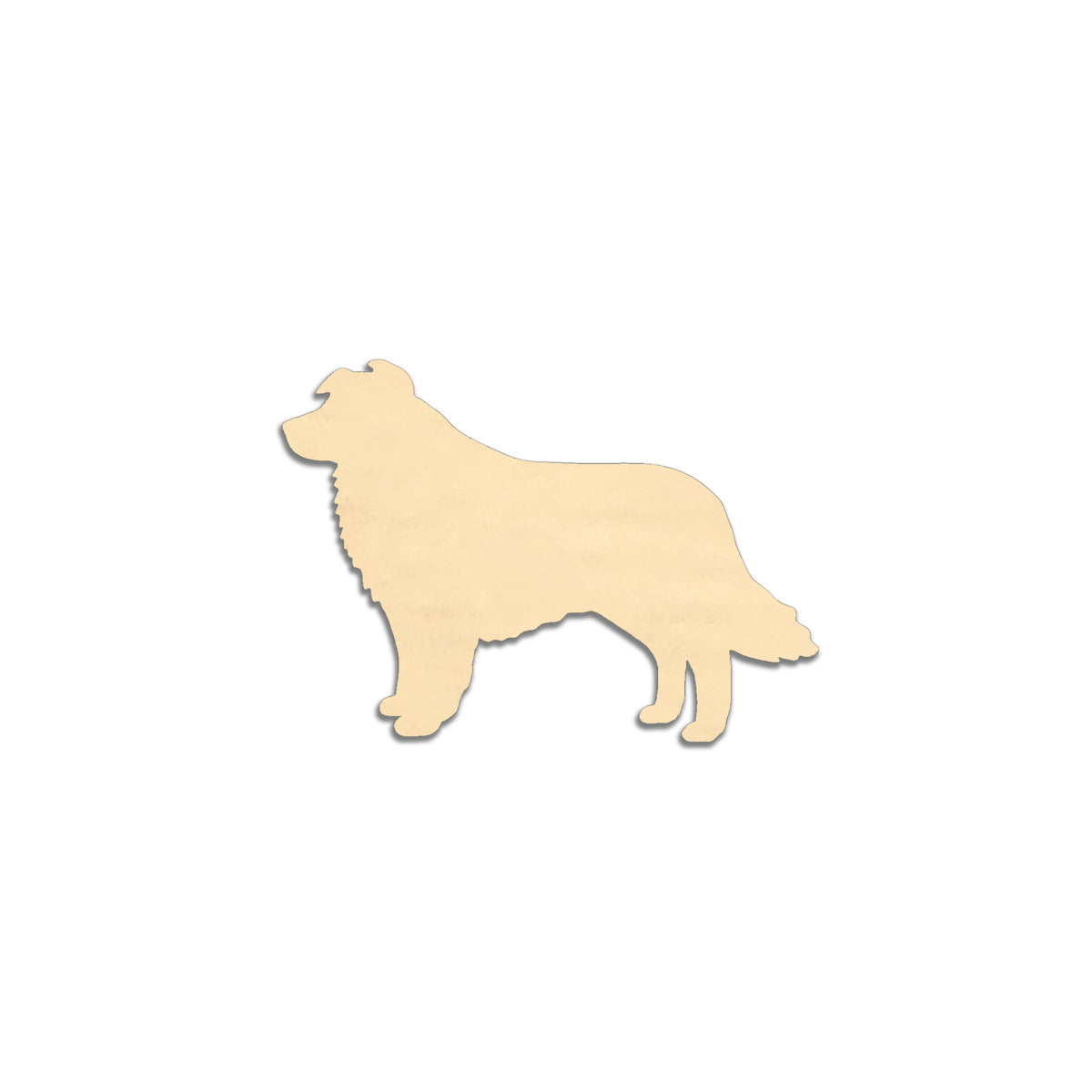 Bordercollie -jääkaappimagneetti