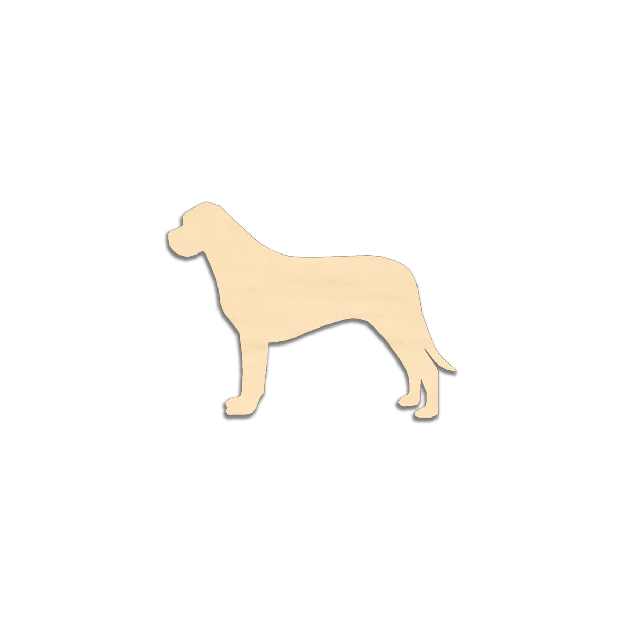 Cane corso -jääkaappimagneetti