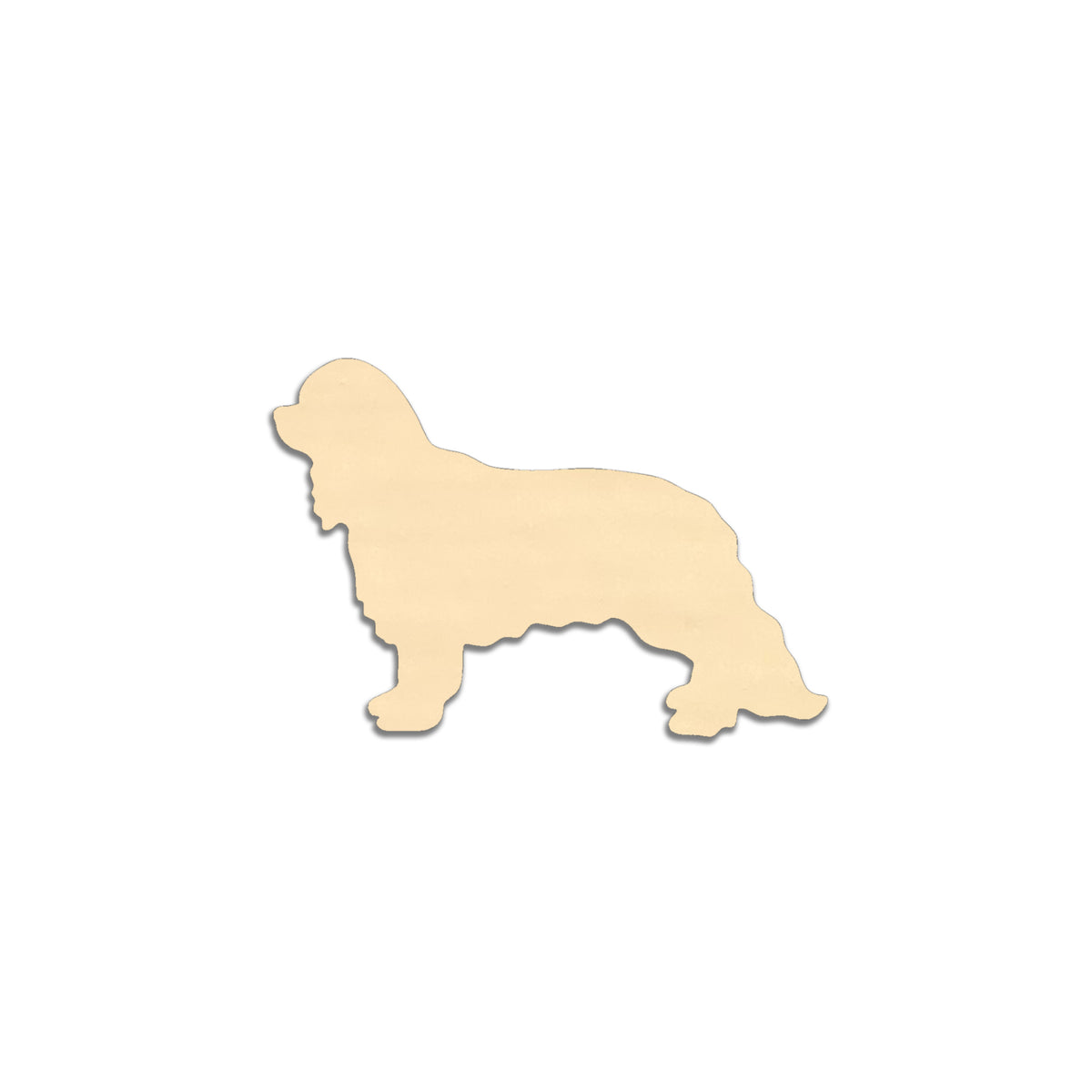 Cavalier kingcharlesinspanieli -jääkaappimagneetti