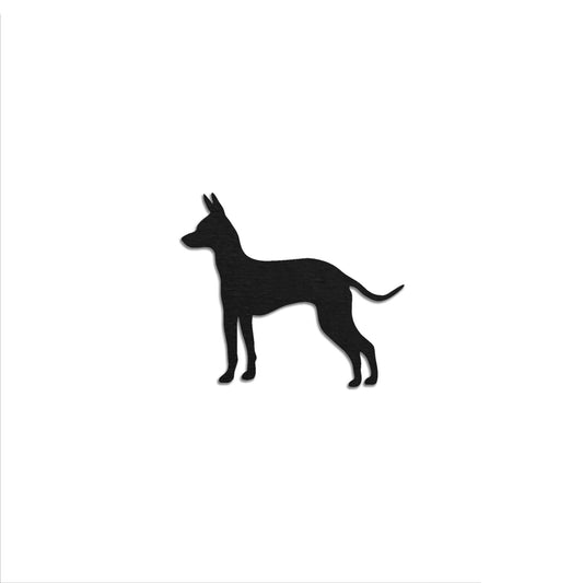 Meksikonkarvatonkoira -jääkaappimagneetti