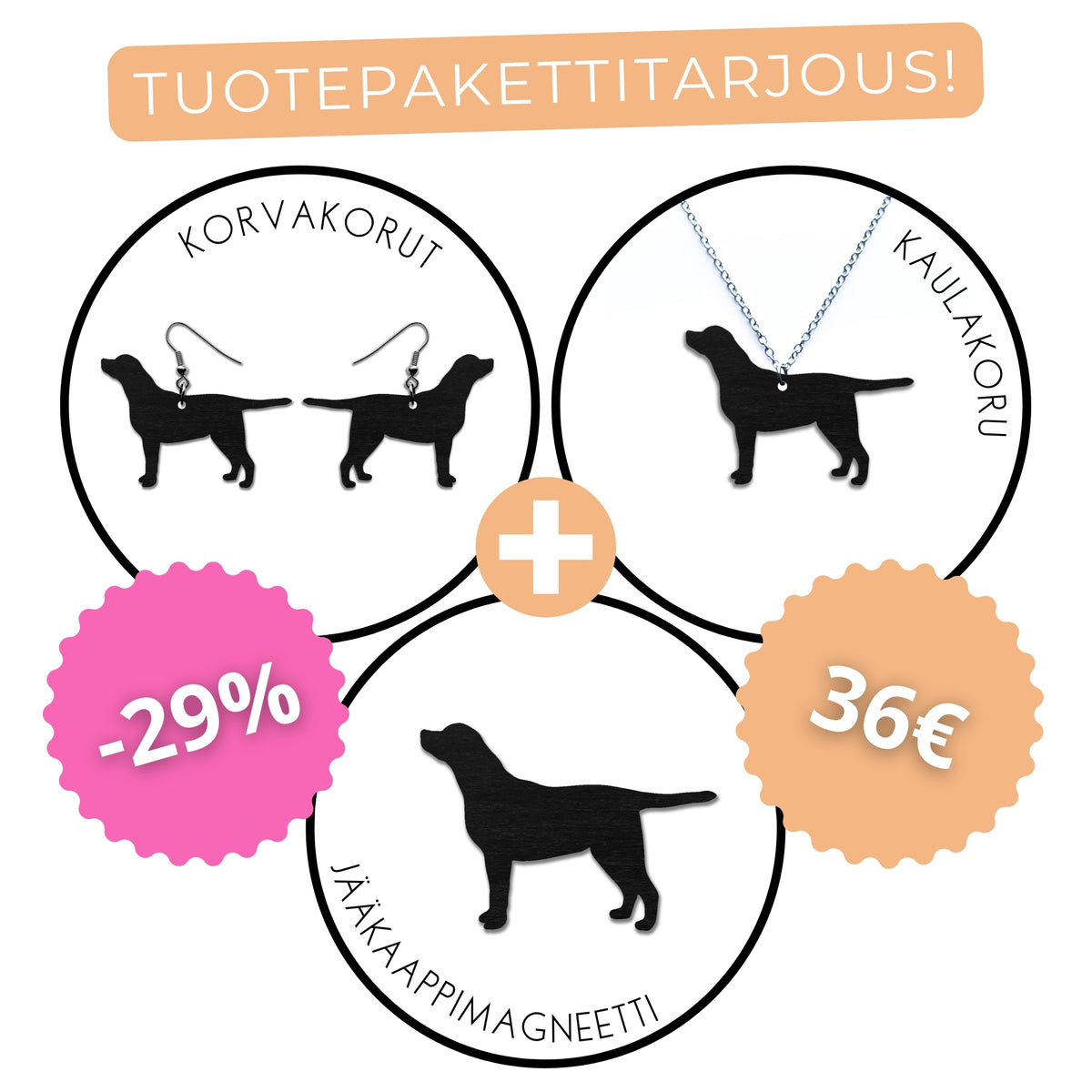 Labradorinnoutaja (seisova) -tuotepaketti